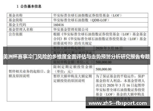 美洲杯赛事冷门风险的多维度全面评估与走势预警分析研究报告专题